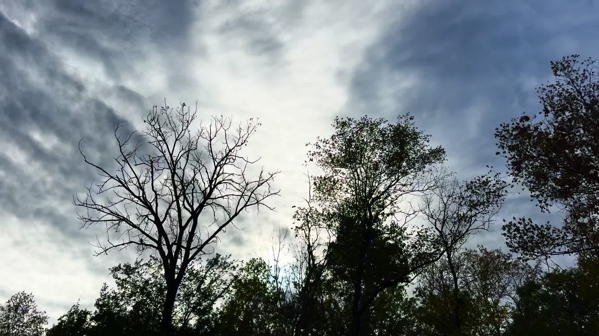 @HeatherFeatherTellstheWeather