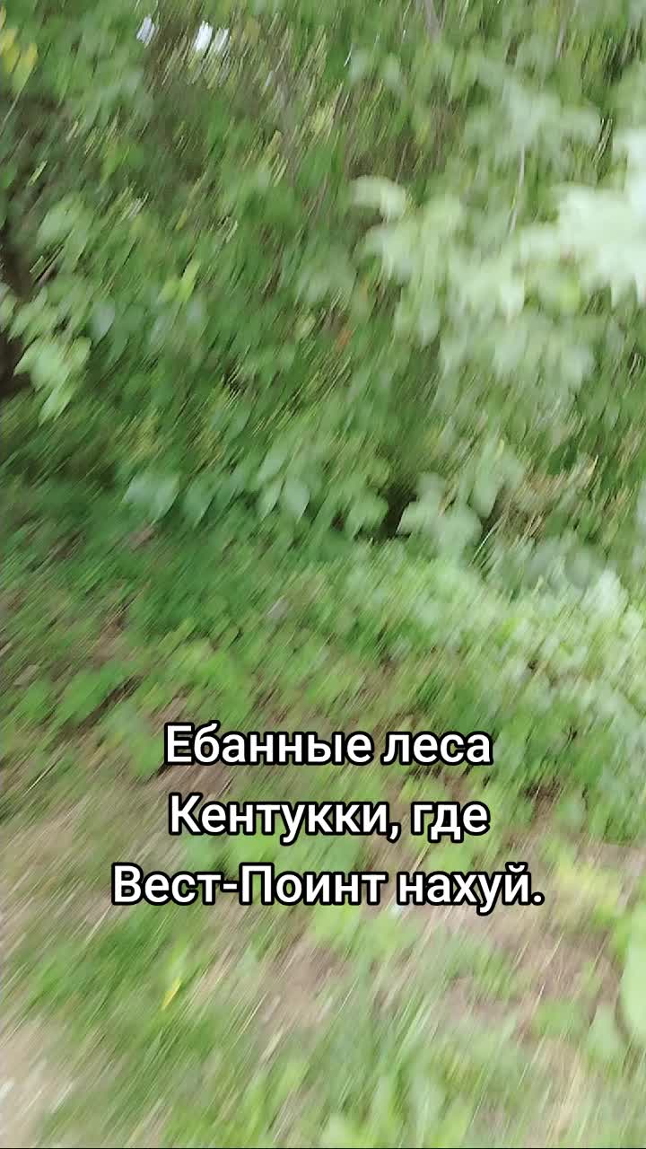 @Nickolas フΨ