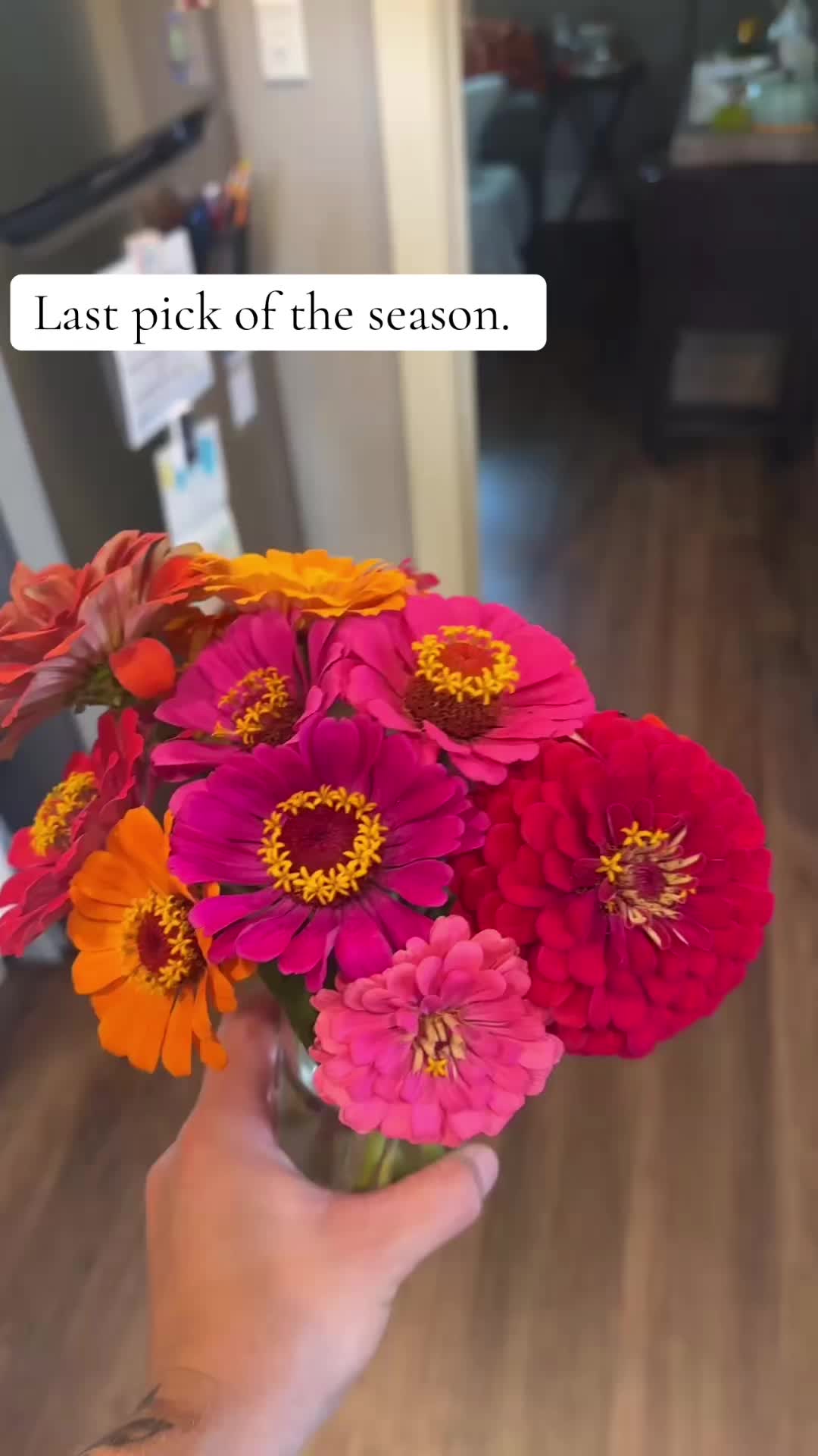 @Sarah✨