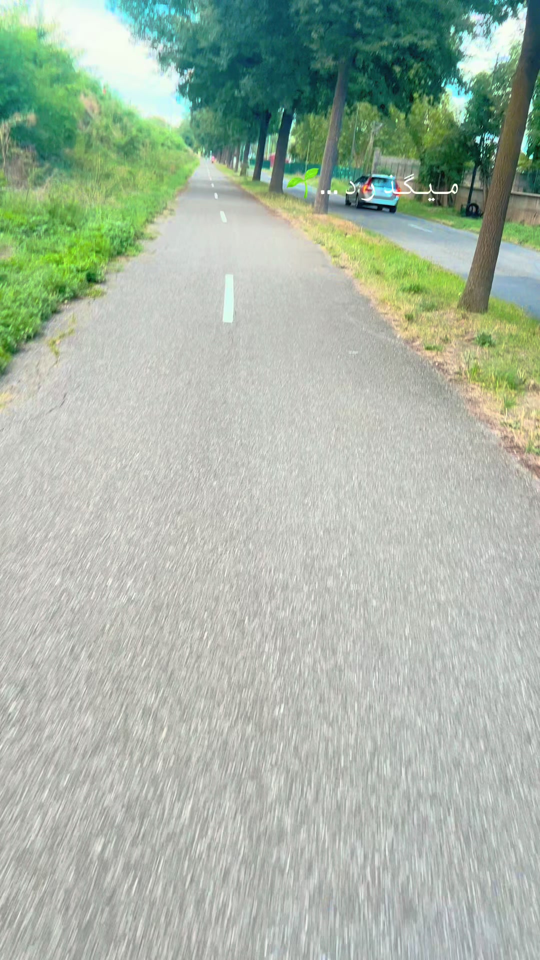 @sumiah353