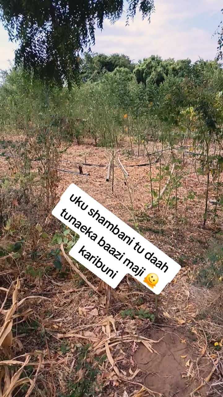 @Randonkish