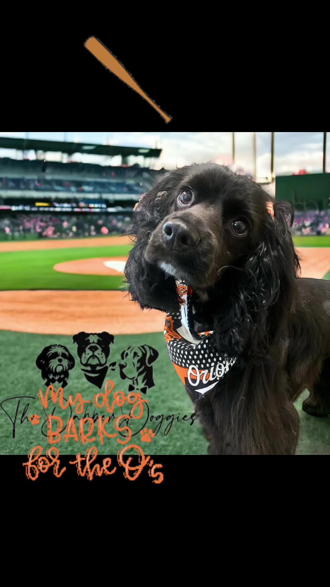 @The Dapper Doggies
