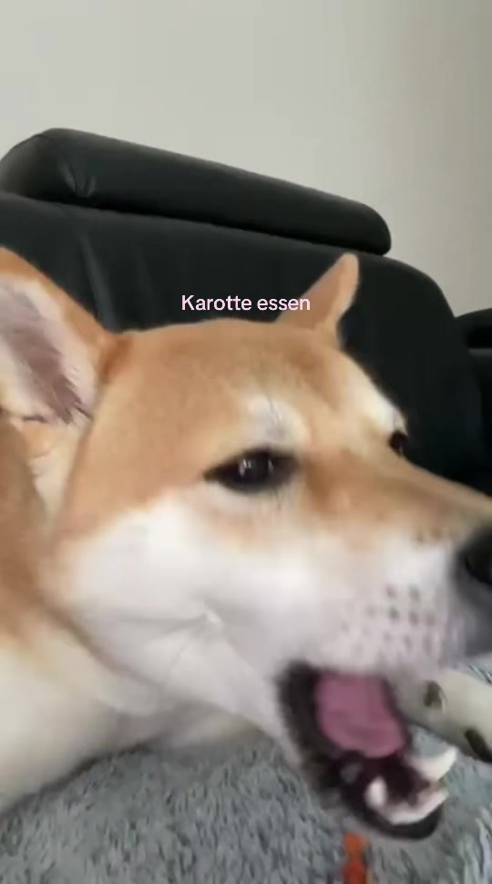 @Kayla