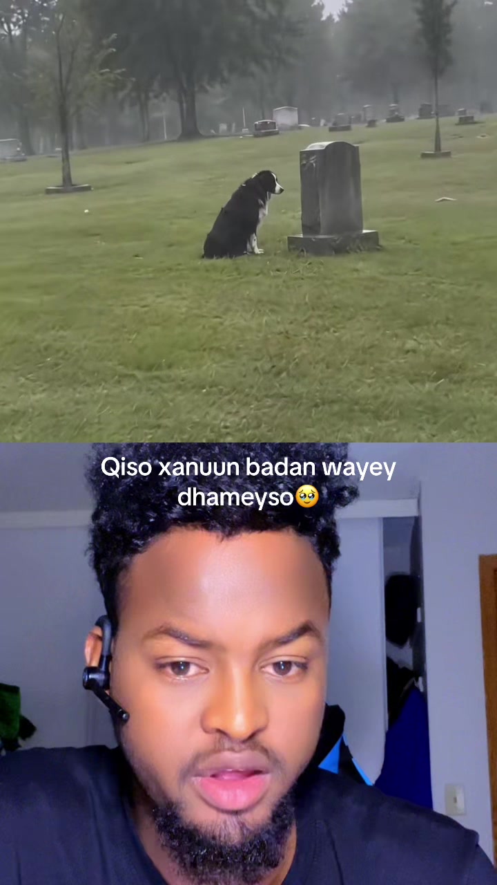 @abwanozil3✅❤️