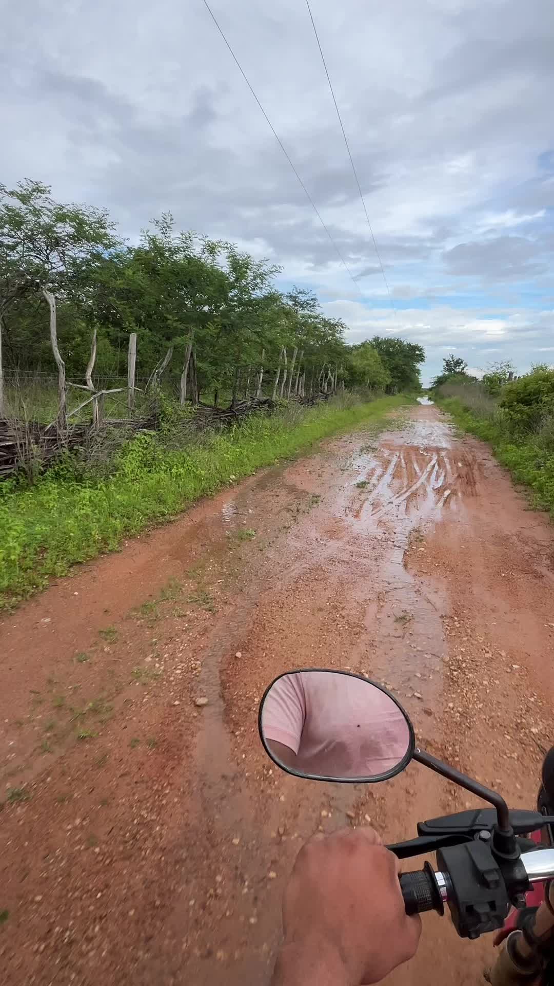 @Vit&oacute;rinha