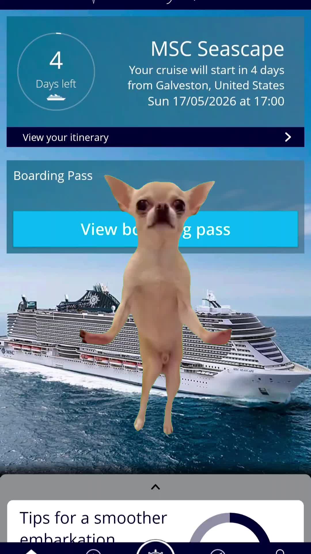@Whit the Cruise Queen⚓️