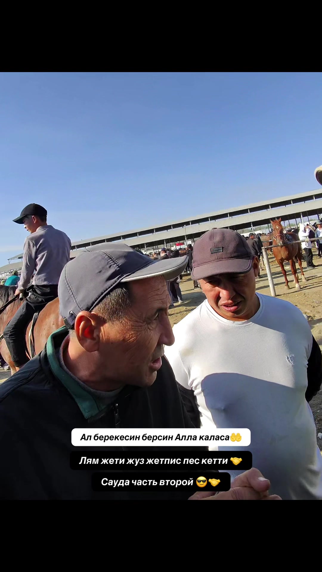 @Konnaya_progulka_taraz🐎