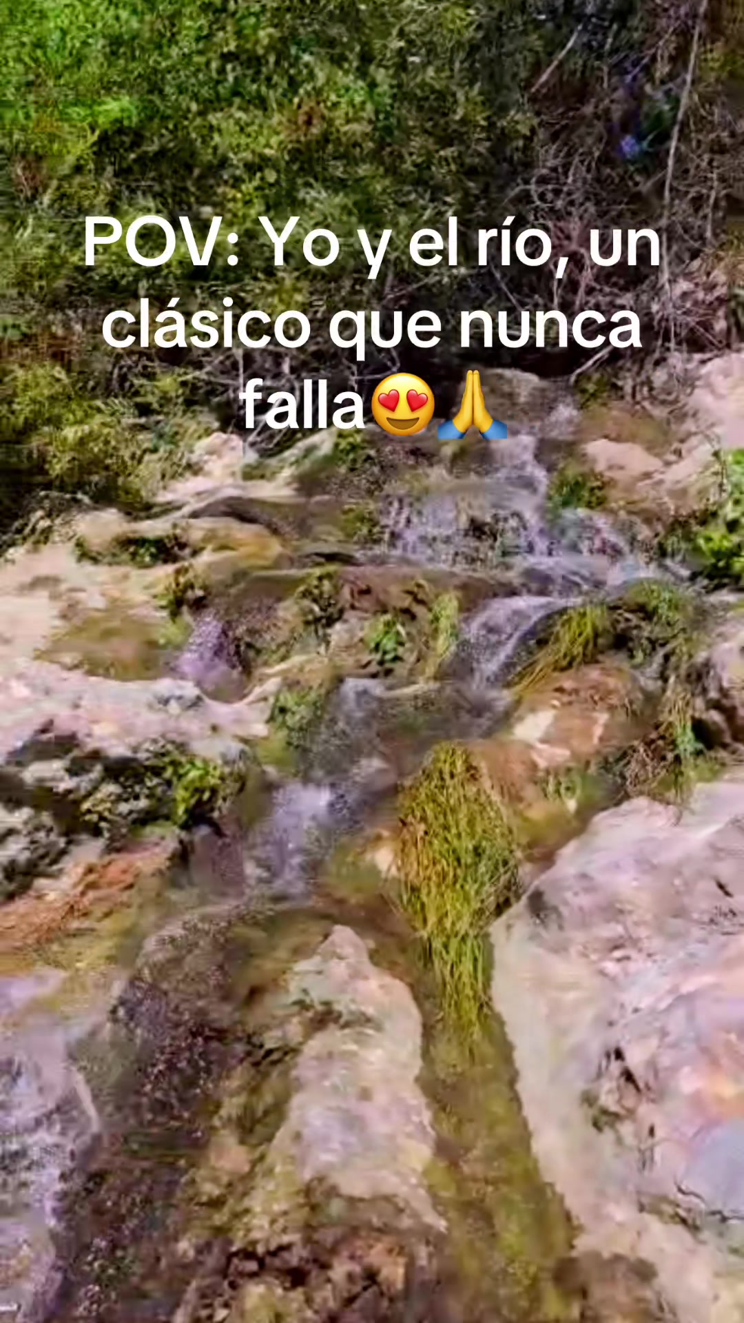 @🌼 𝓥𝓮𝓻𝓸 🌼🌺💋💕