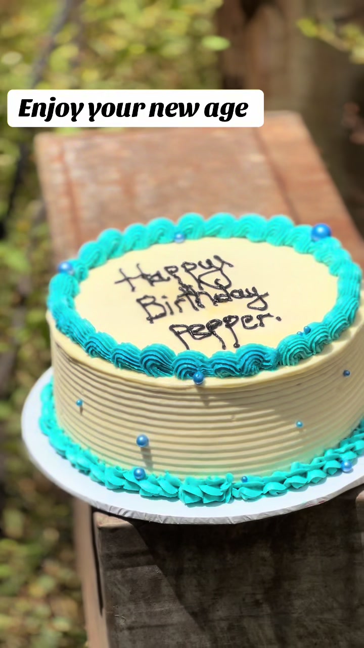@winne divine cakes