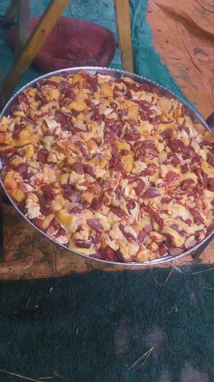 @ياسر بك شاهين