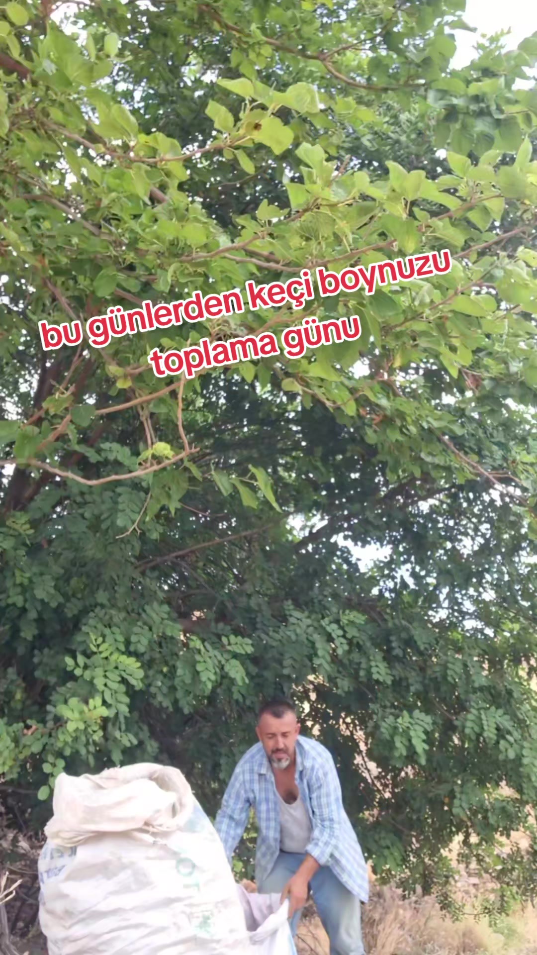 @🤫