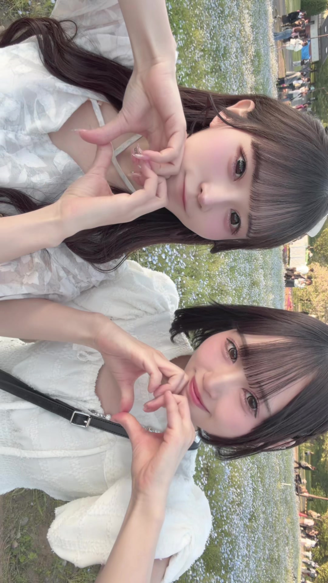 @八雲です