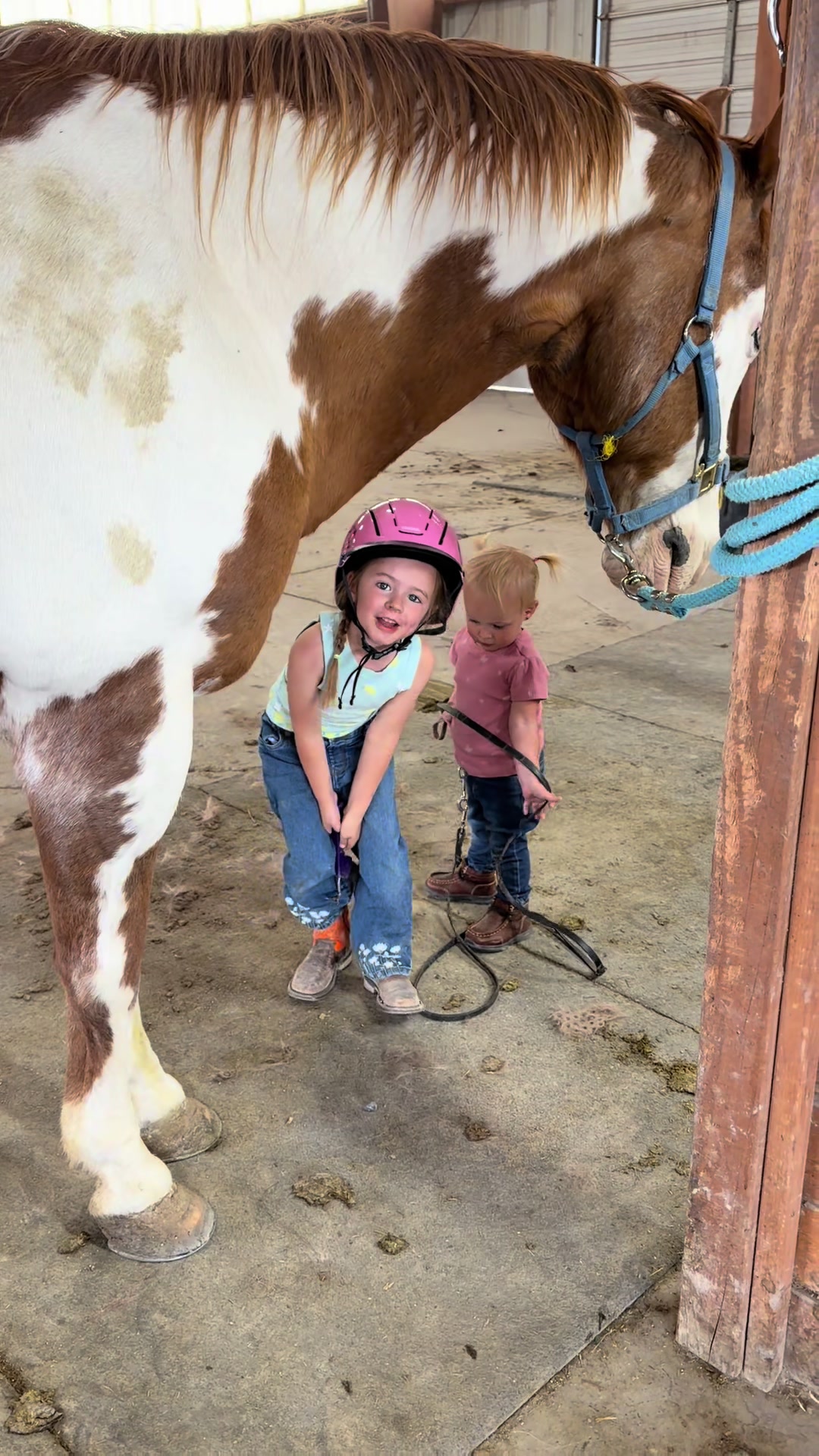 @horselife