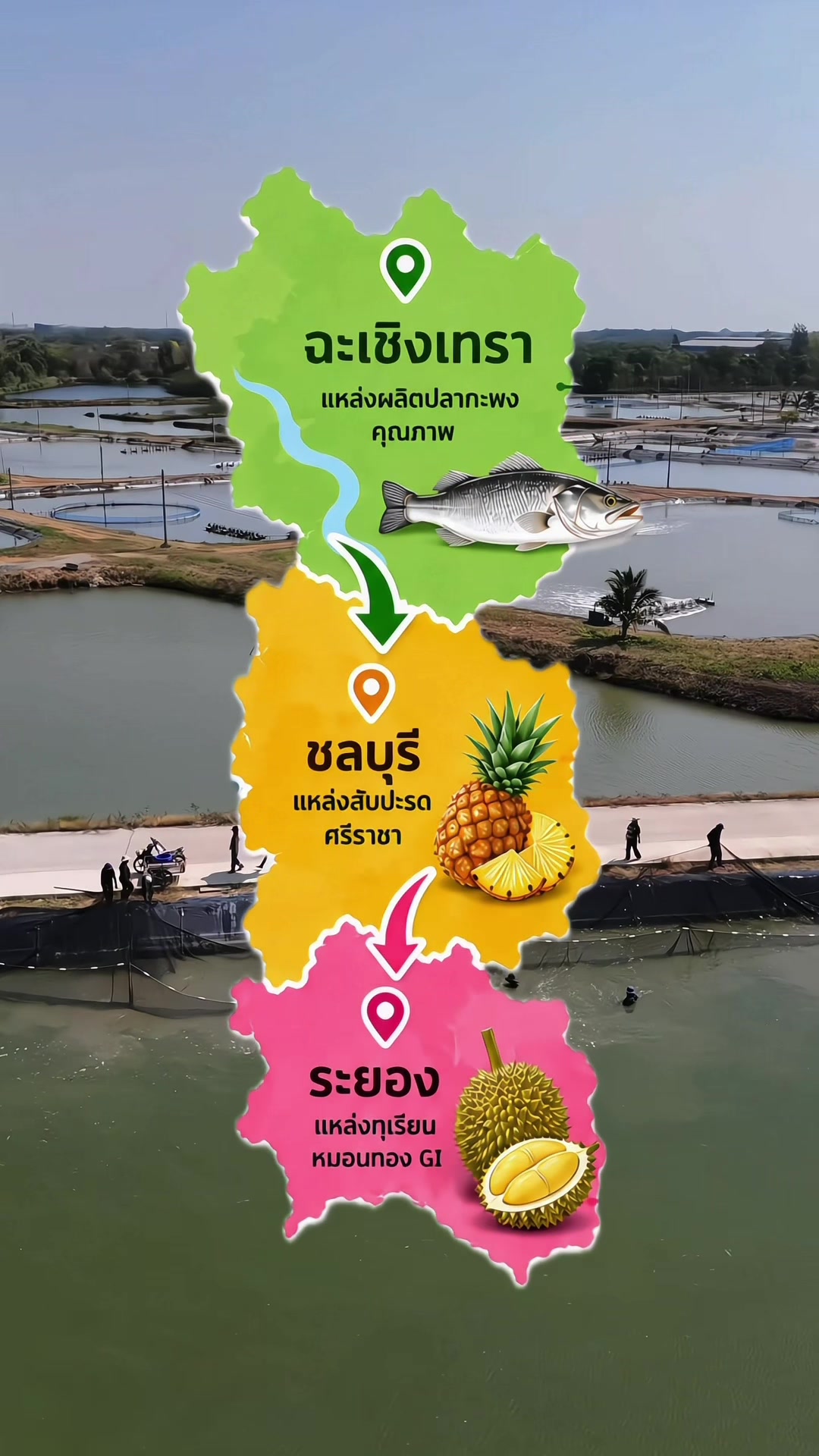 @ผช.ผู้ใหญ่บ้าน ที่สวยๆ(500K💎)