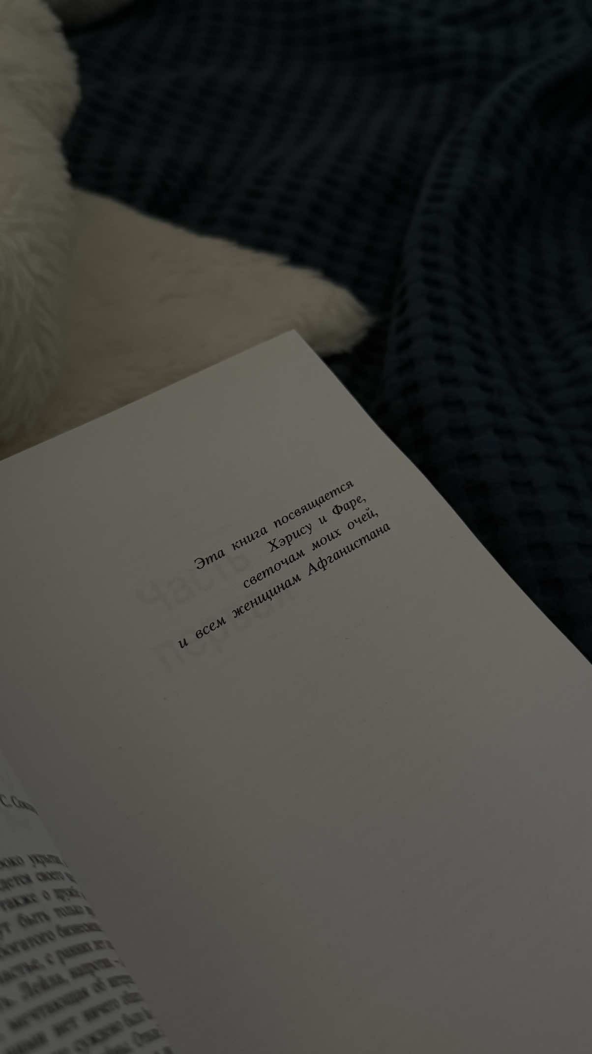 @amibooks