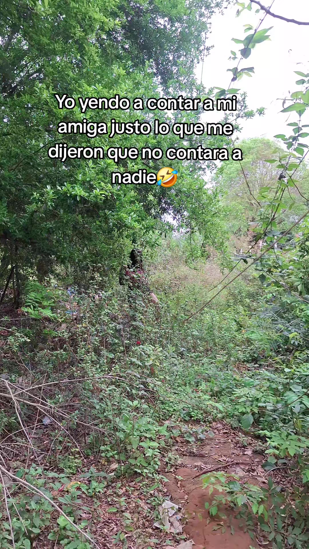 @Ña rufi🐍