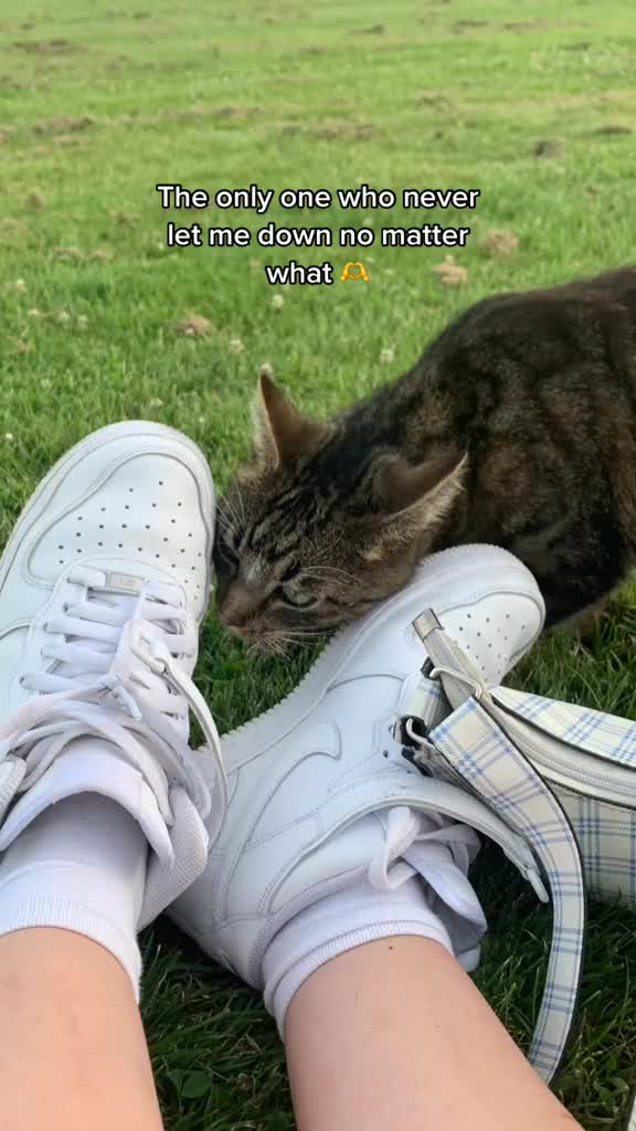 @ 