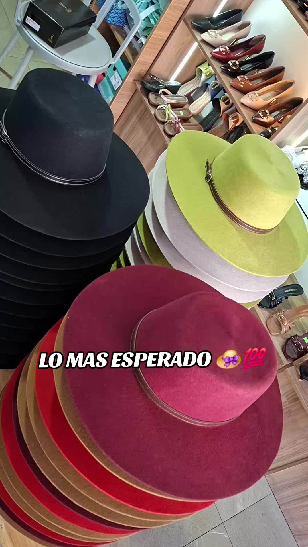 @dinastia701