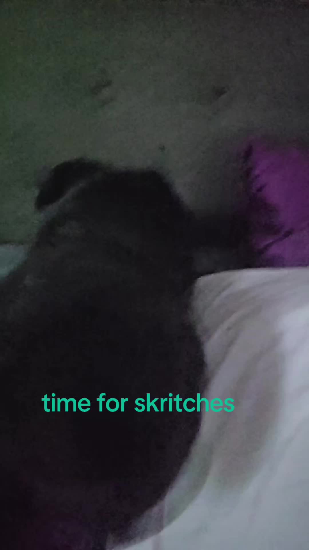 @Kippers