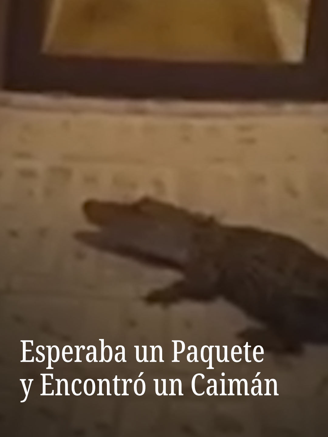 @N+ UNIVISION