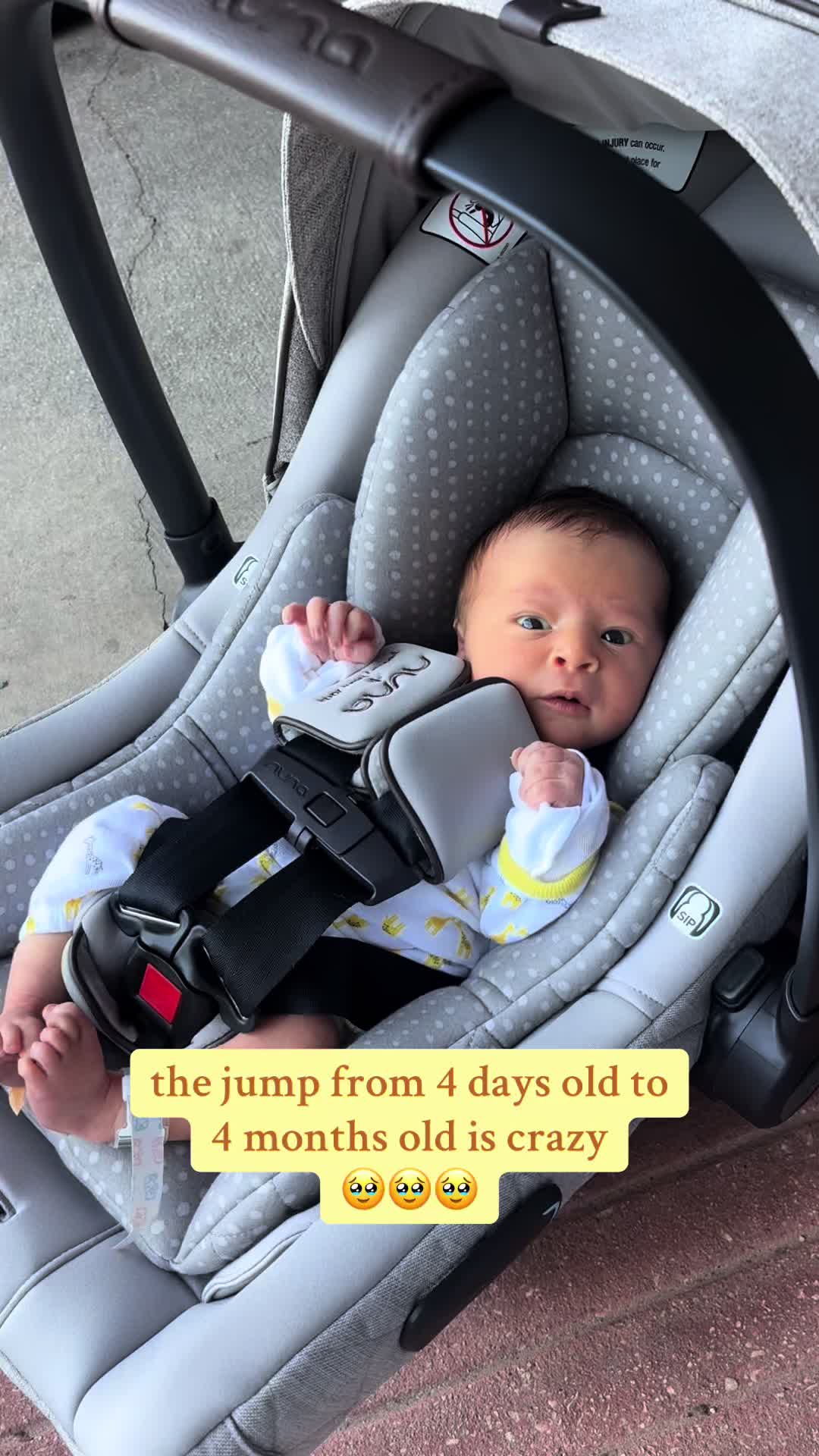 @danielle v herrera