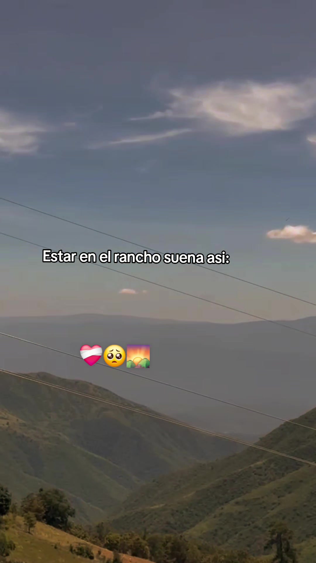 @๏ธ