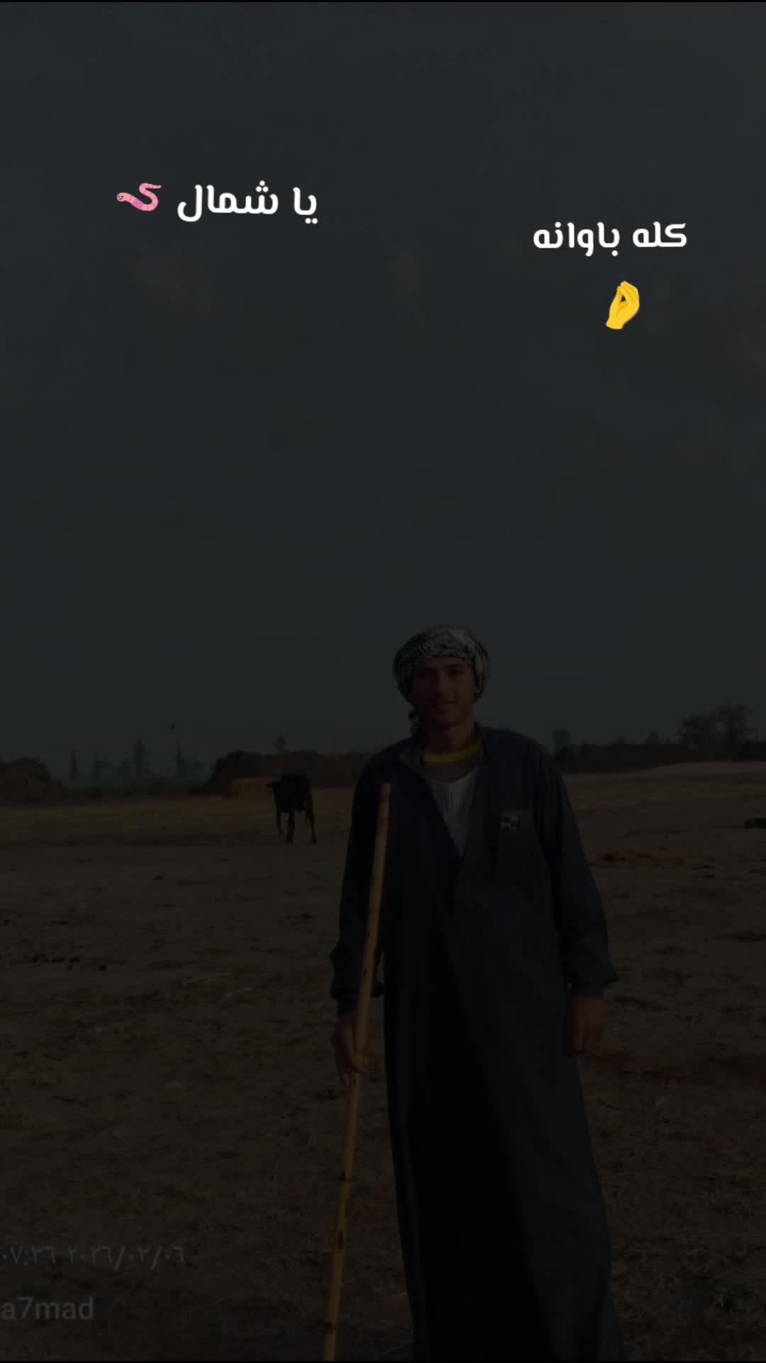 @السيد محمد 548