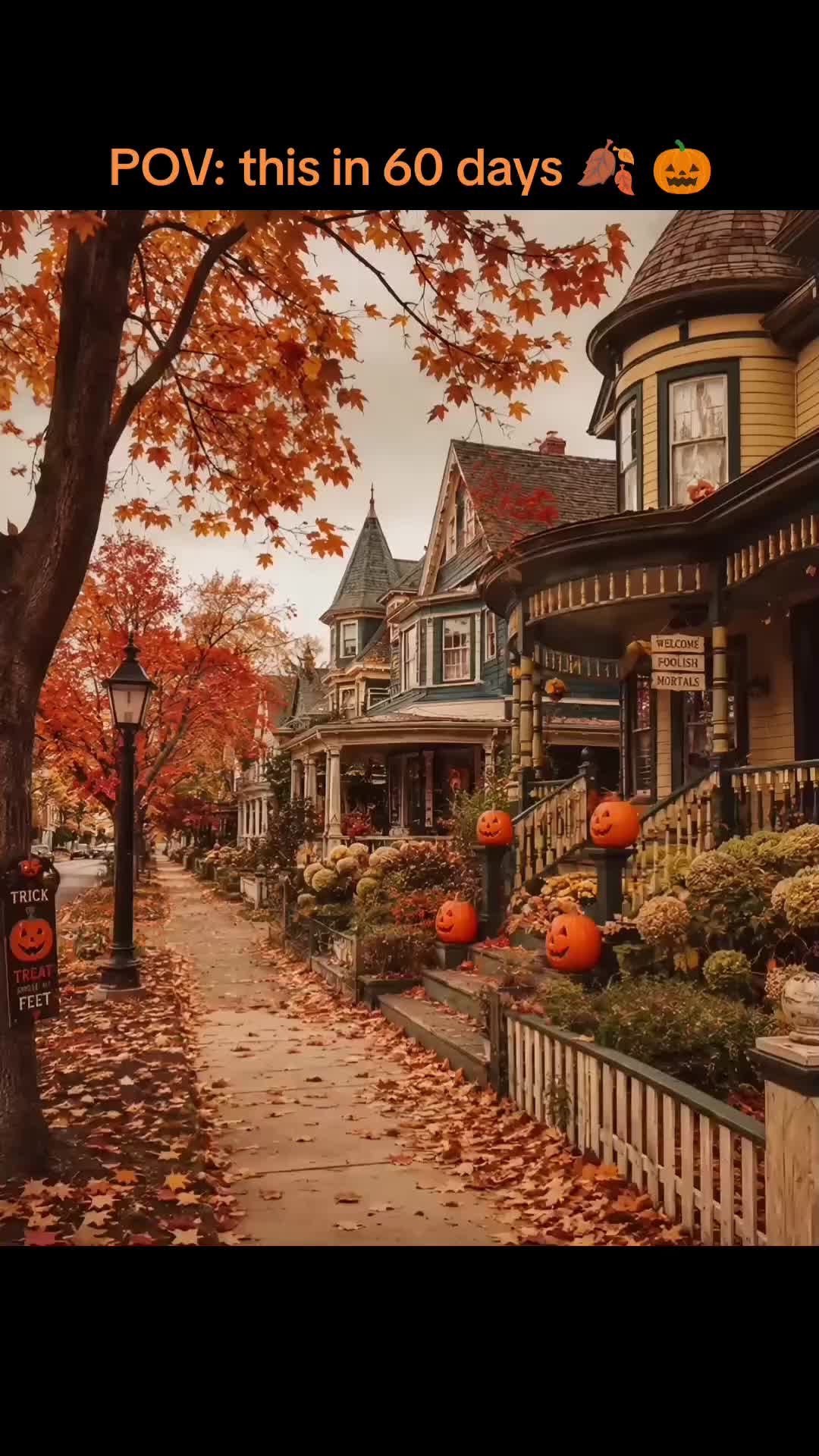 @Nostalgic_Nicole