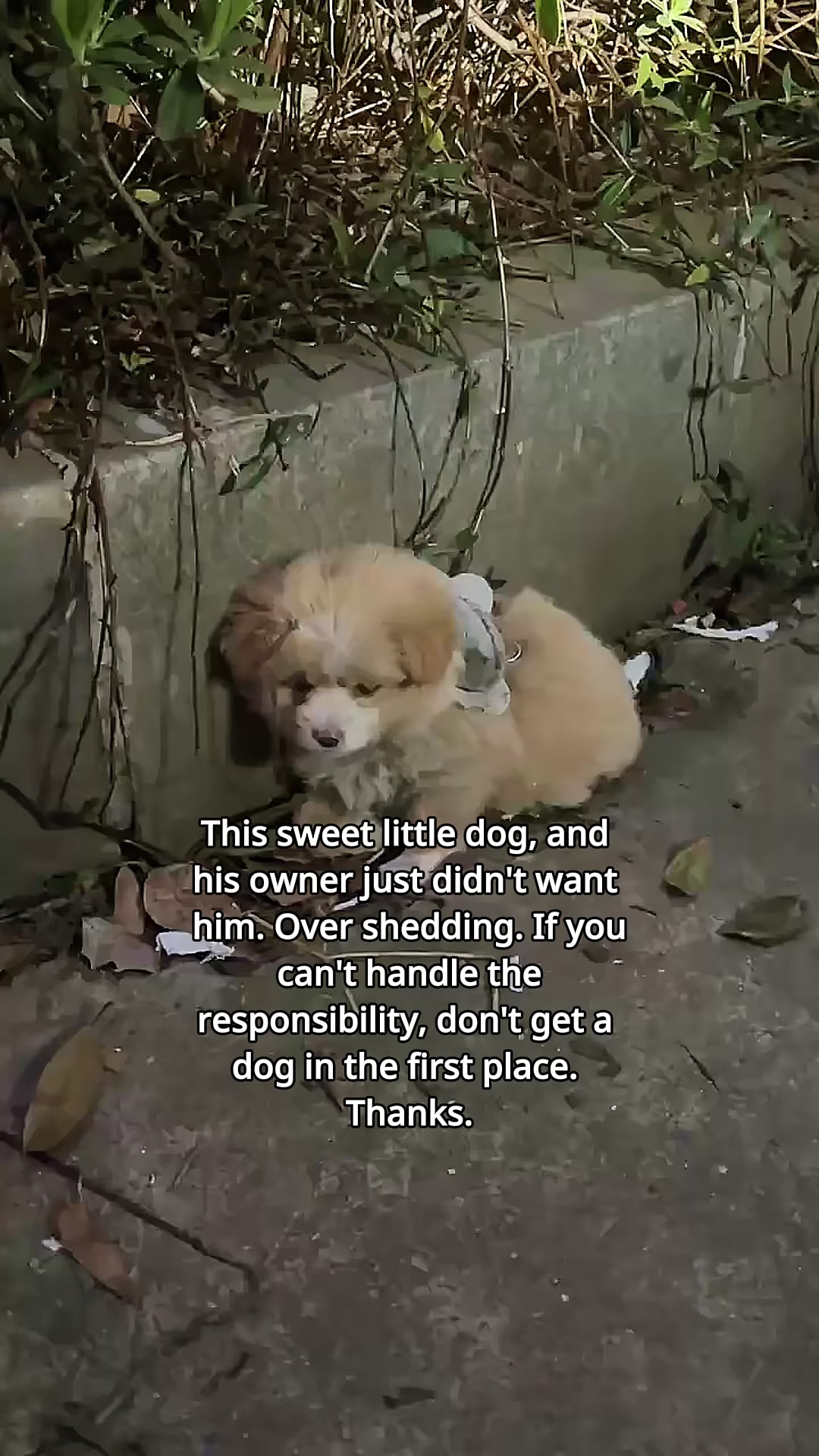 @SunnyLily