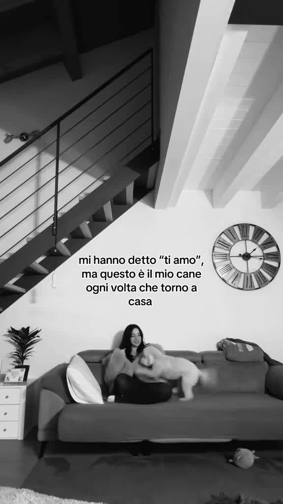 @iris talamo
