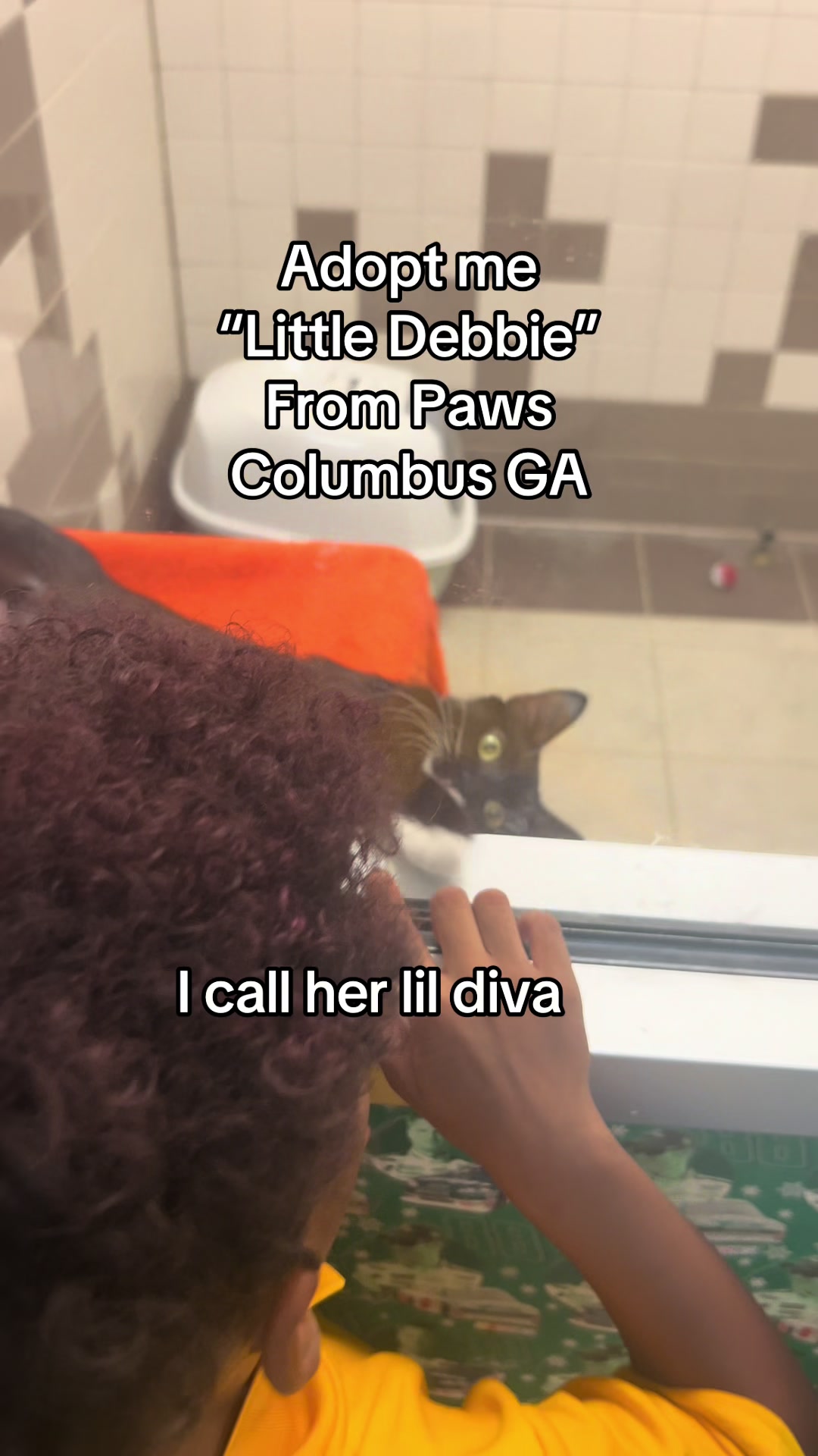 @🔥 Tiph 🔥🦁🛡️✊🏽📢🧿💎🌊🕊️