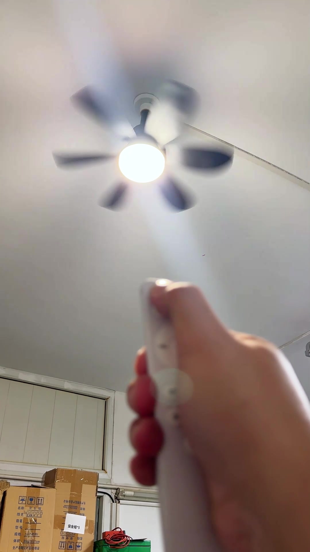 @Shayne Glow