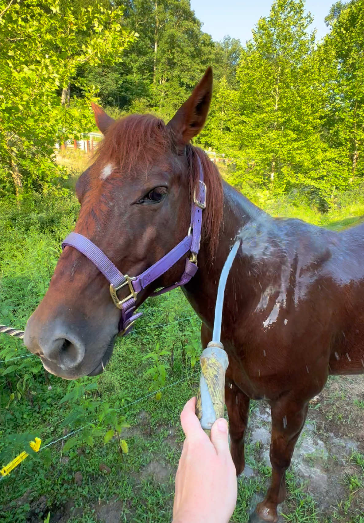 @Densmore Ranch