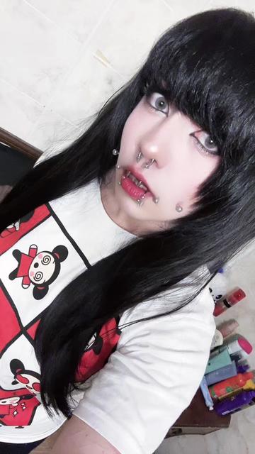 @dogferatu
