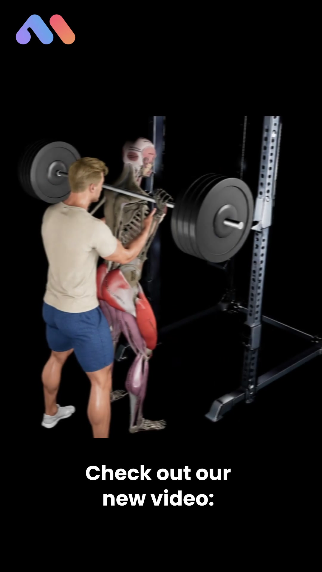 @Muscle & Motion