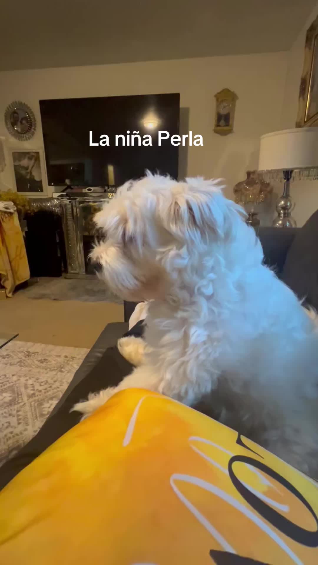 @Ana Flores de Cepeda