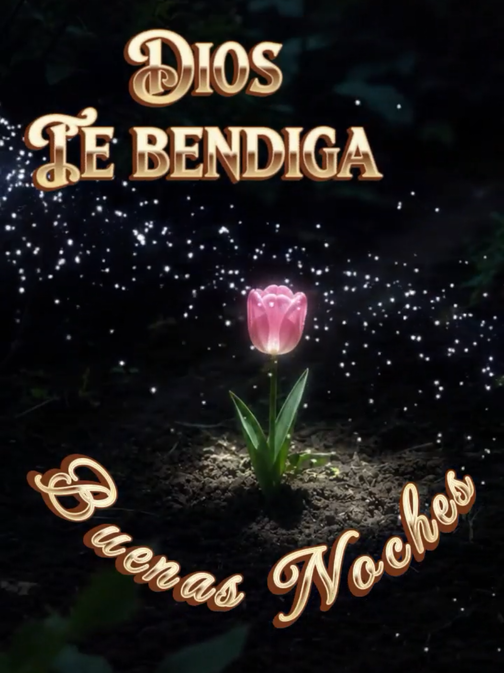 @Arely Mendoza Frases bonitas
