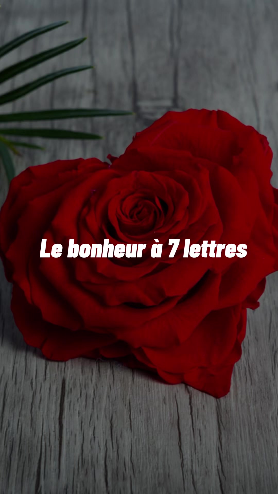 @Alexis&ludivine comptecommun♥️