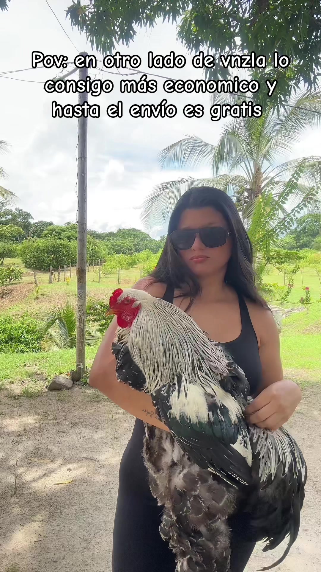 @Granjamascotalandiayaracuy