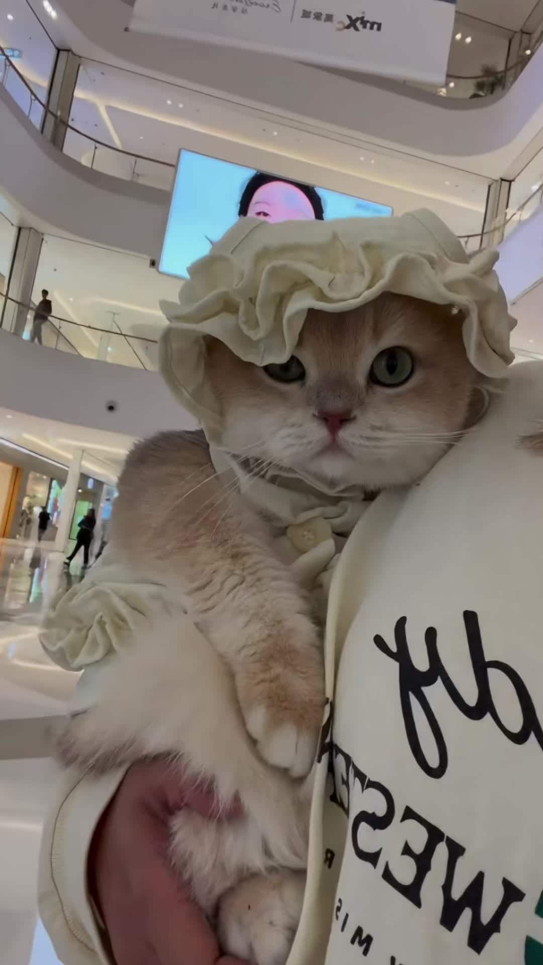 @My Daily Dose of Aww