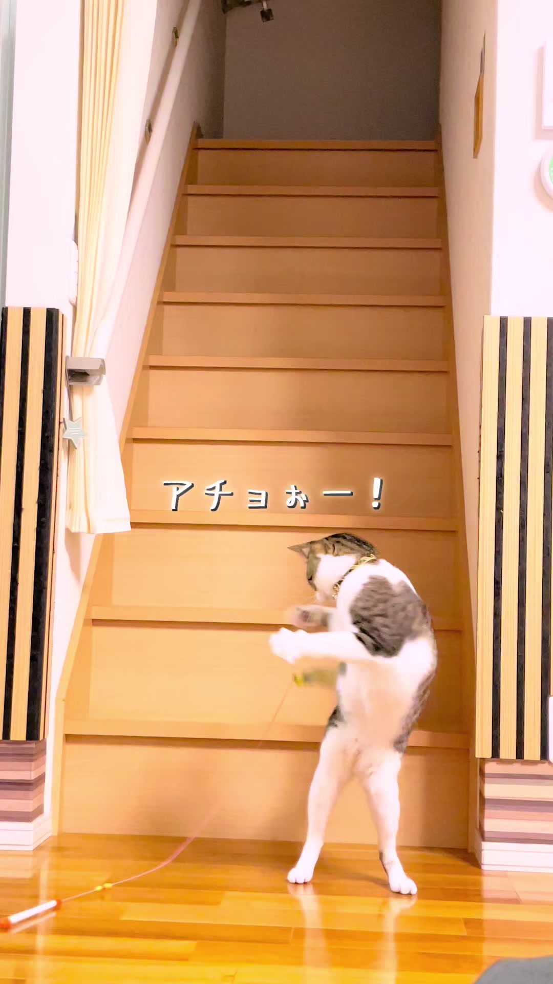 @ねこまみれ