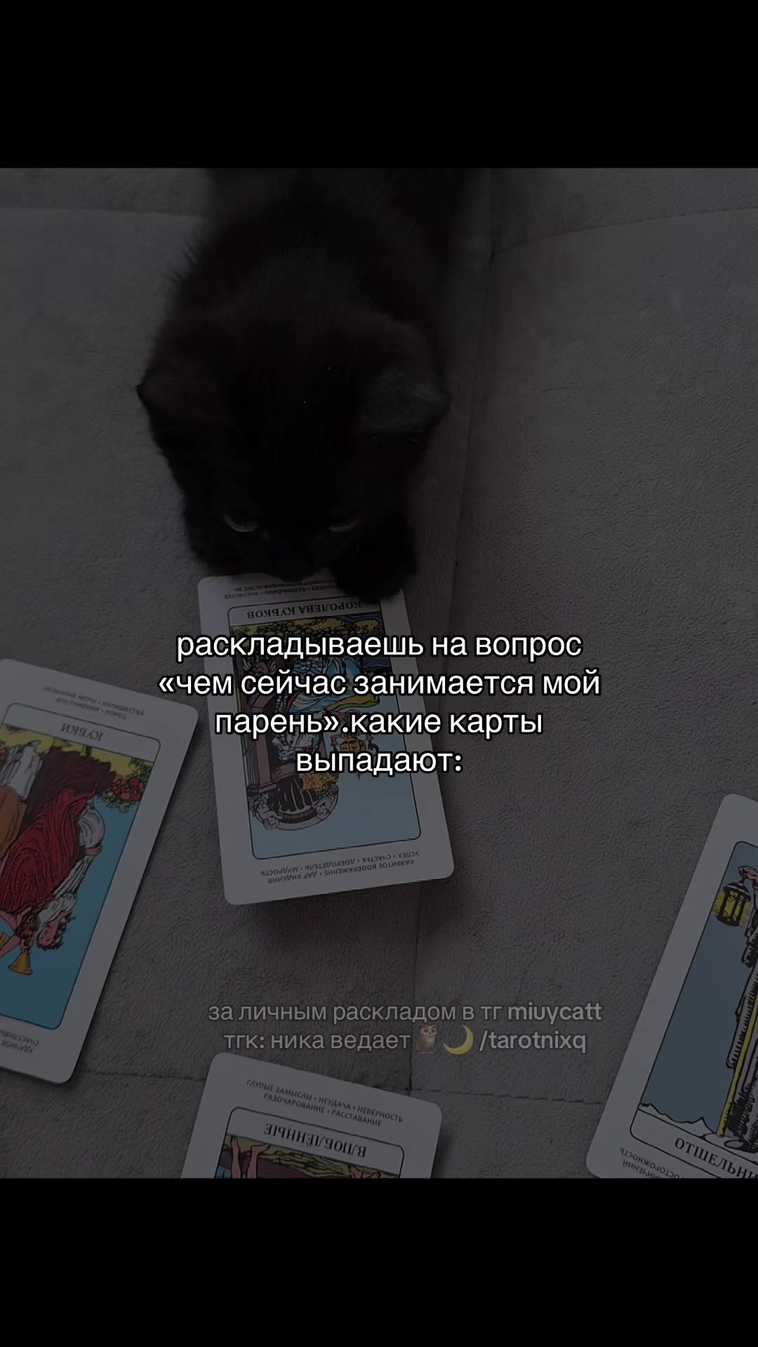 @ника ведает 🕯️