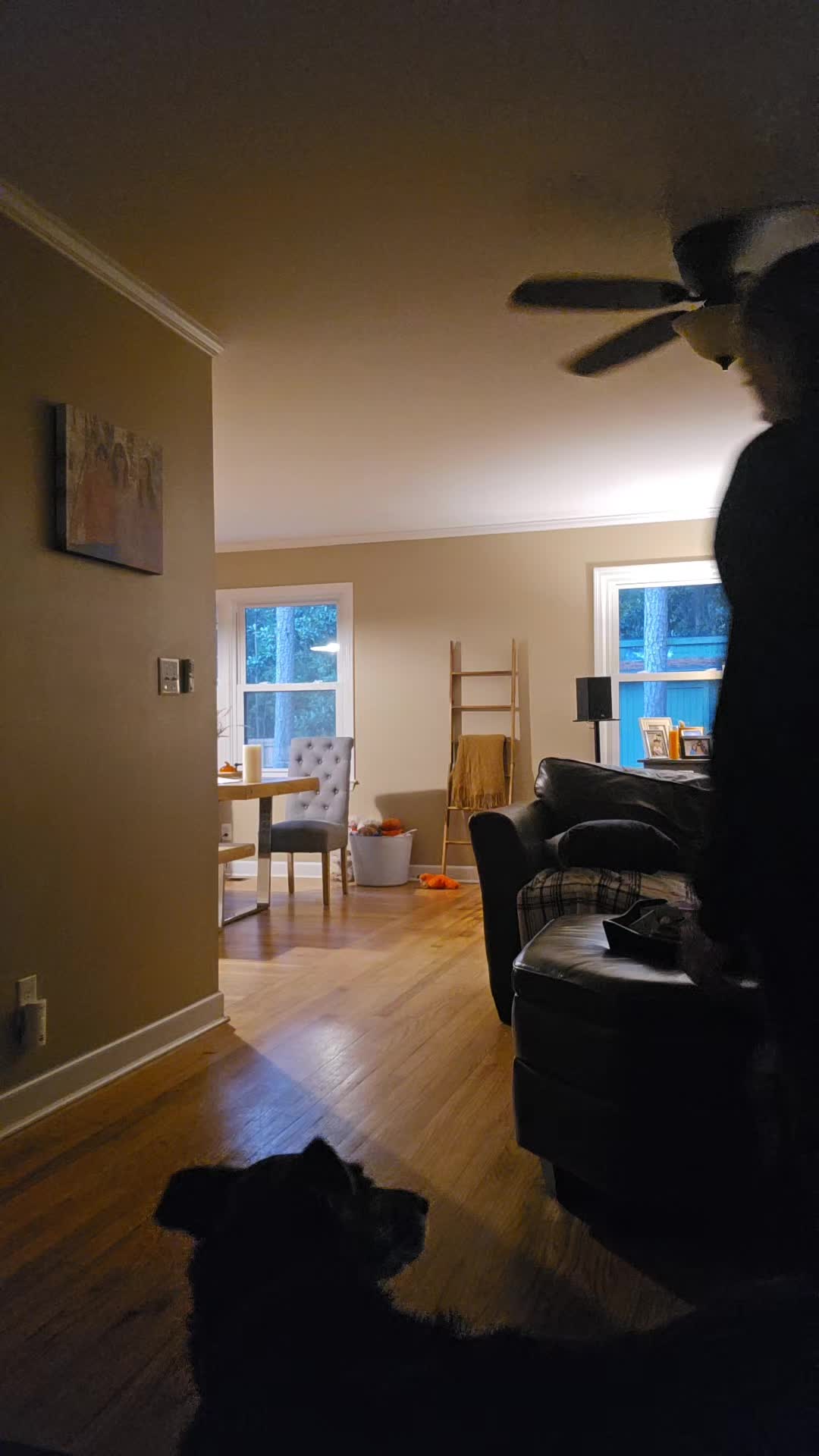 @gracie ⚯ ͛