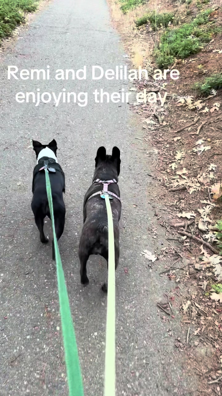 @Laurie’s-remi&delilah