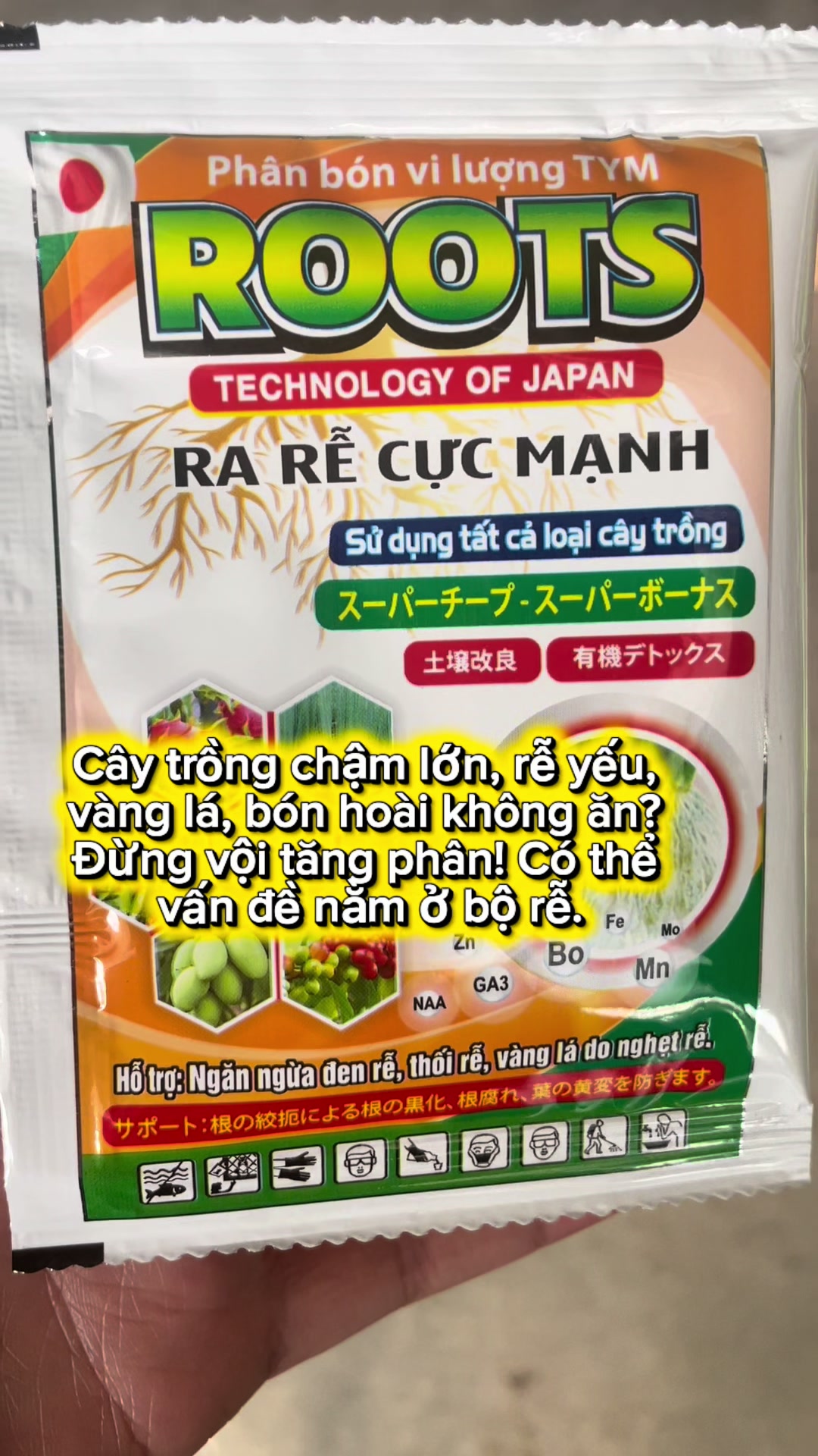 @VTNN Trung Hiếu 1