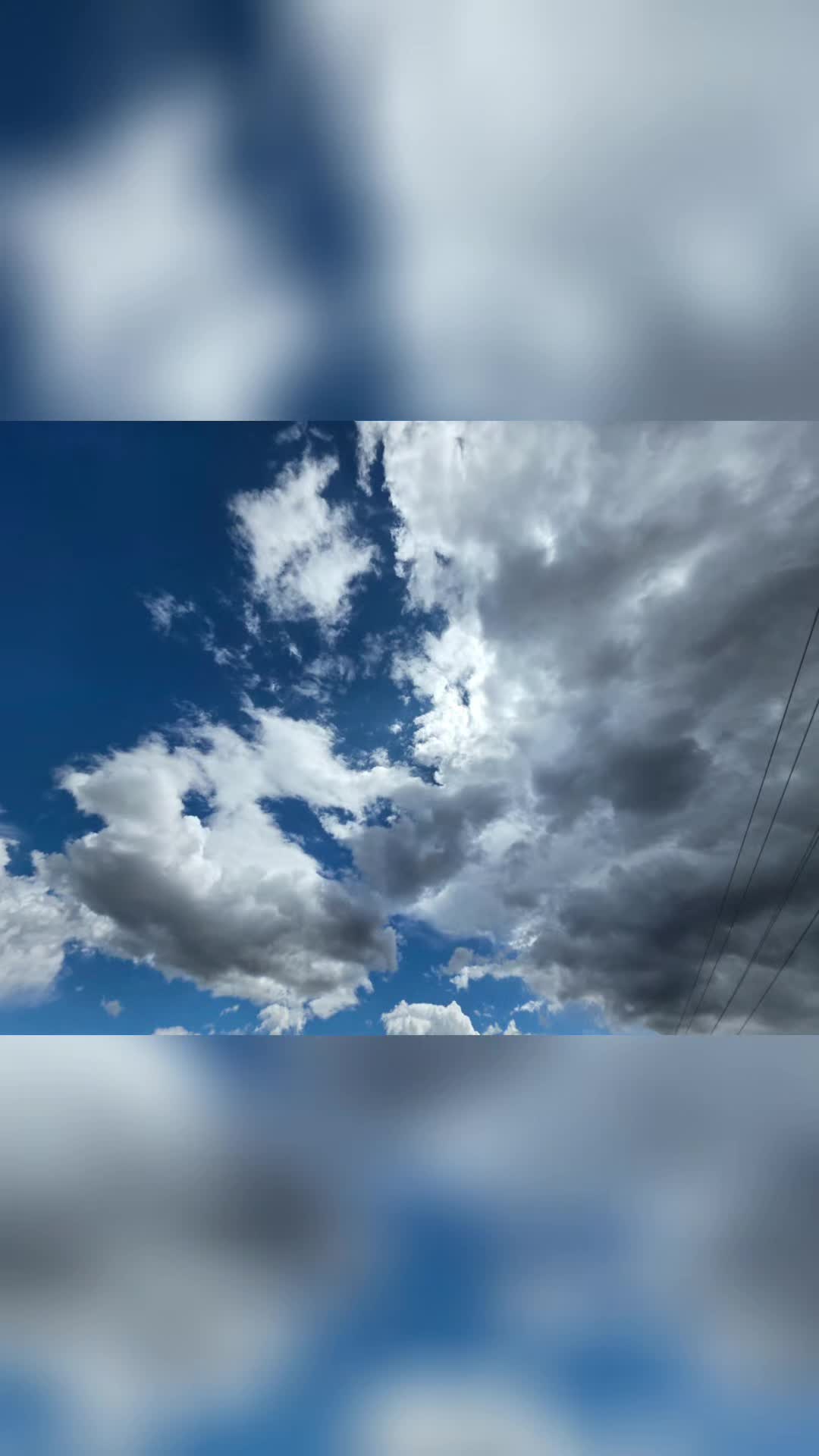 @😶🌫️🦋Kyle🦋😶🌫️