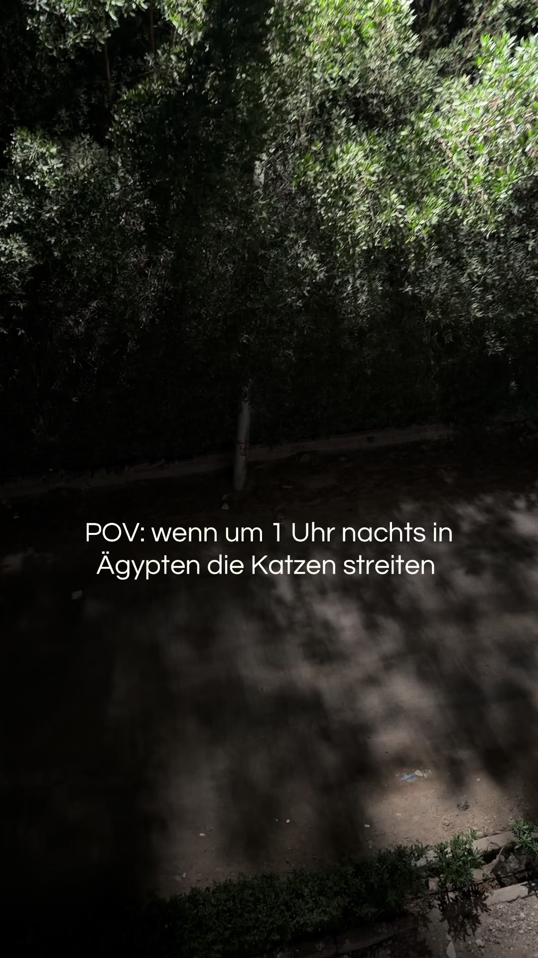 @Kristina Schmidt