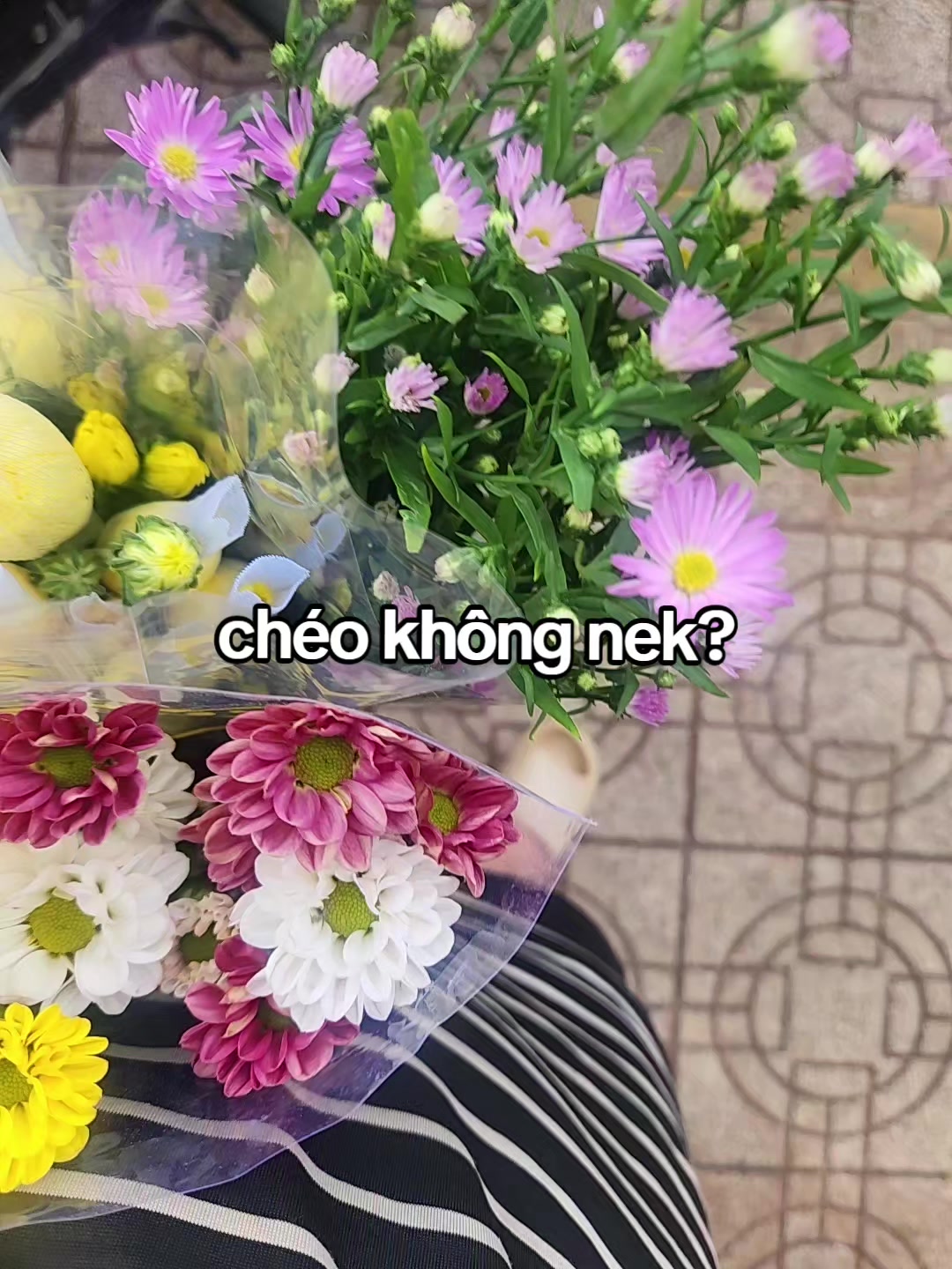 @Hộ