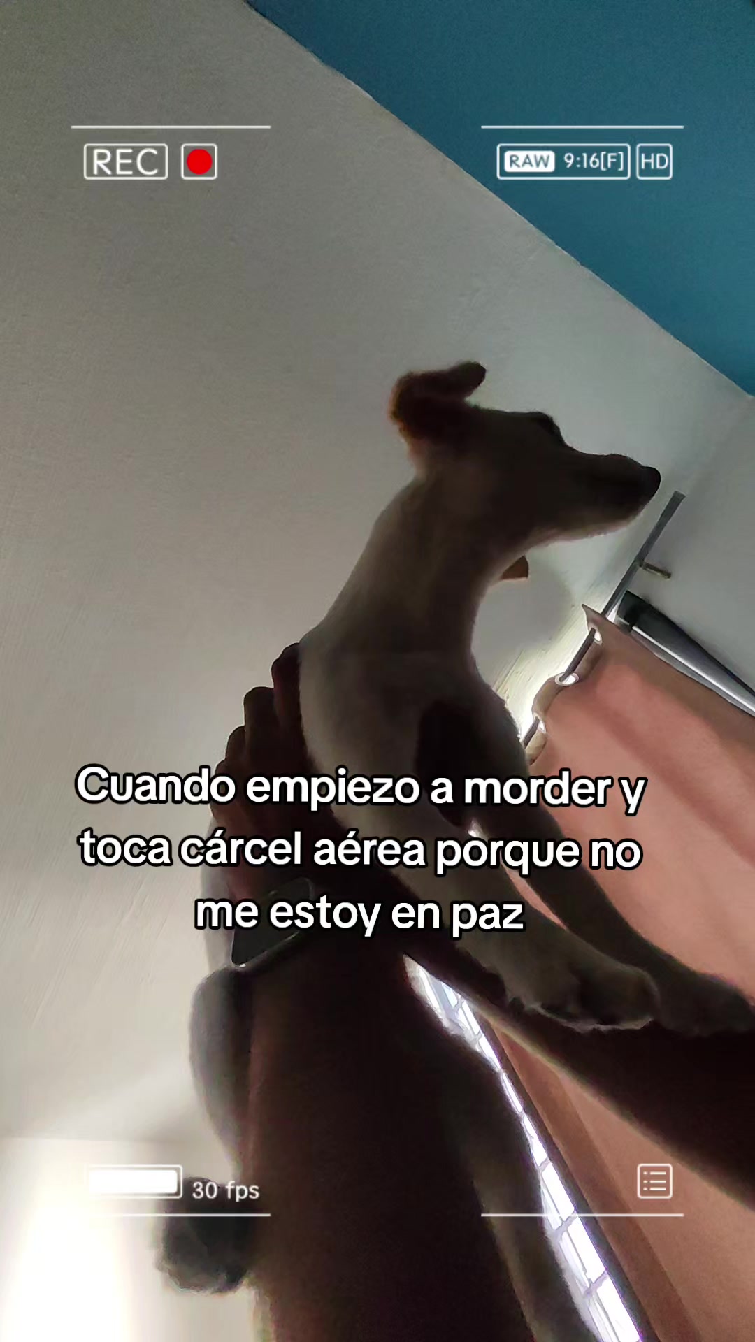 @Victor Hugo Gonzalez