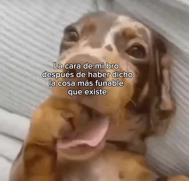 @ASTAIZZZA